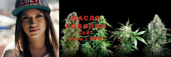 шишки Туринск