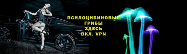 шишки Туринск