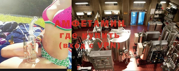 шишки Туринск