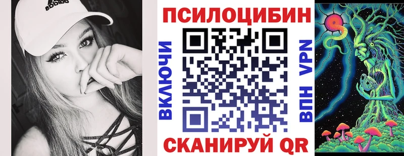 Купить где  Павловск  Псилоцибиновые грибы GOLDEN TEACHER 